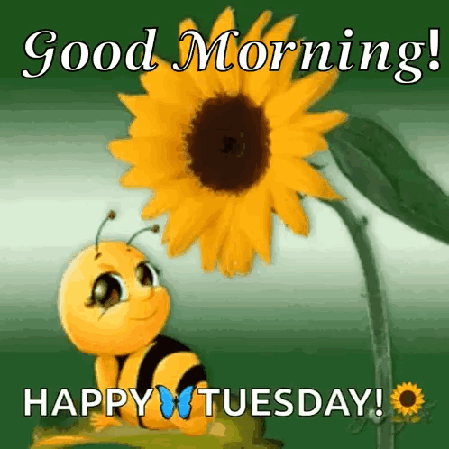 Sunflower Nature GIF