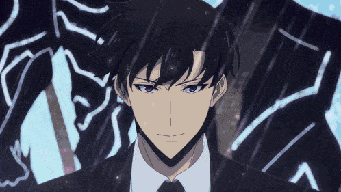 Sung Jin Woo Solo Leveling Season 2 GIF