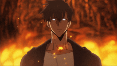 Sung Jin Woo Solo Leveling GIF