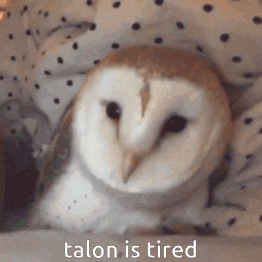 Sunlaces Court Of Owls GIF