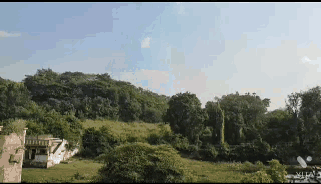 Sunny GIF