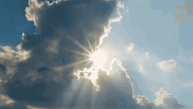 Sunny Day When Sharks Attack GIF