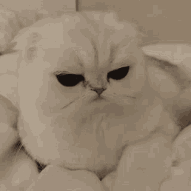 Sunooburger GIF
