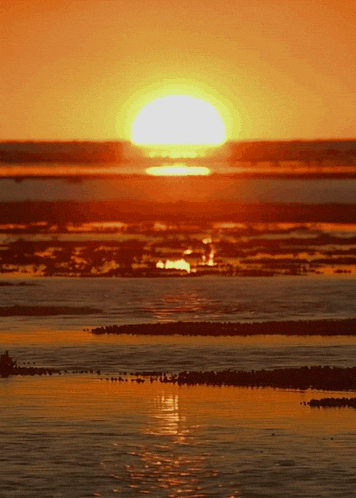 Sunrise GIF