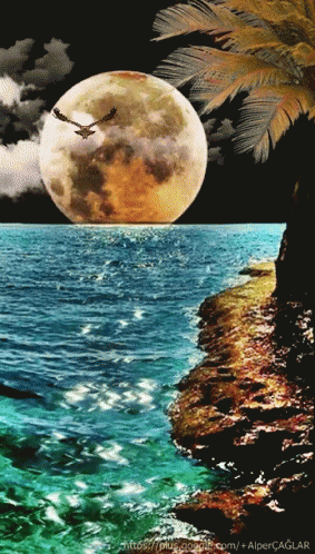 Sunrise GIF