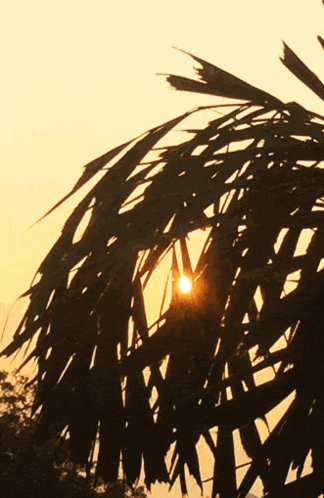 Sunrise Morning GIF