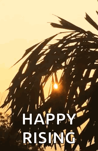 Sunrise Morning GIF