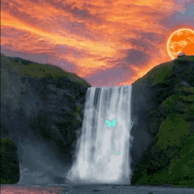 Sunrise Sunburn GIF