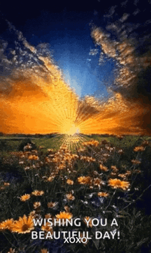 Sunrise Wishing You A Beautiful Day GIF