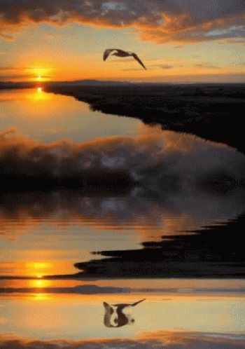 Sunset Aesthetic GIF