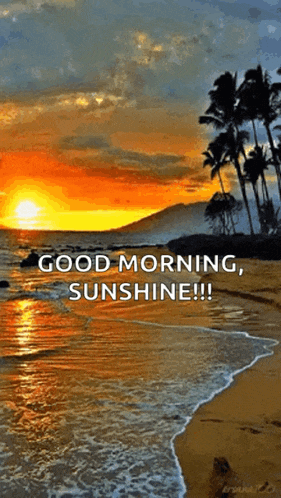 Sunset Beforesunrise GIF