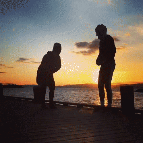 Sunset Friends GIF