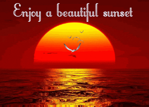 Sunset Good Evening GIF
