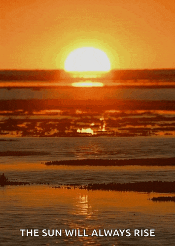 Sunset Nature GIF