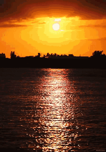 Sunset Summertime GIF