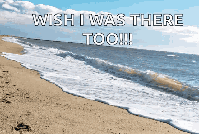 Sunshine By The Beach Sea GIF