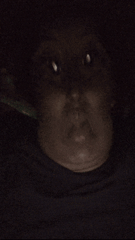 Sup Zak Bro GIF