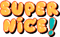 Super Nice Really Nice Sticker