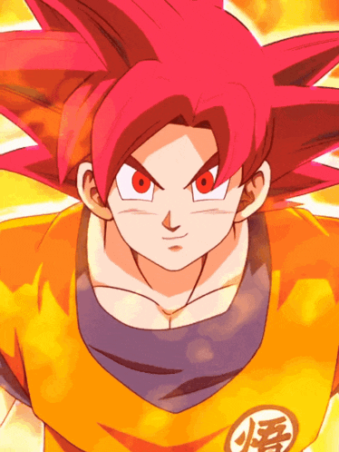 Super Saiyan God Goku And Super Saiyan God Vegeta Divine Warriors With Infinite Power GIF