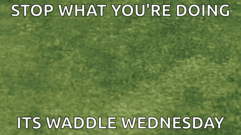 Super Smash Bros Waddle Dee GIF