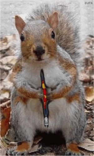 Super Squirrel GIF. This 301 x 498 animated GIF is part of our funny squirrel collection. Related themes include squirrel, super. Created by ReekyBooby…