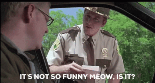 Super Troopers GIF