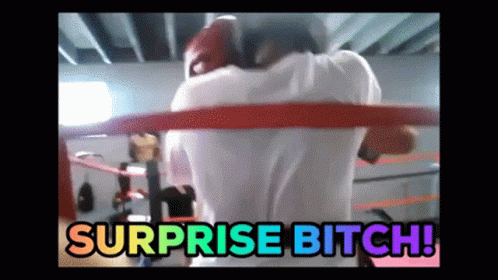 Suprise Bitch Punch GIF. This 498 x 280 animated GIF is part of our surprise bitch collection. Created by tenorbuggaboo. View the original animation, share…