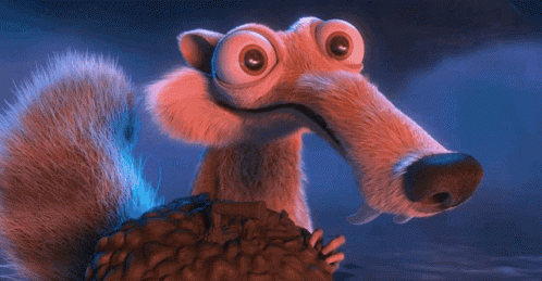 Suqirrel Cartoon GIF