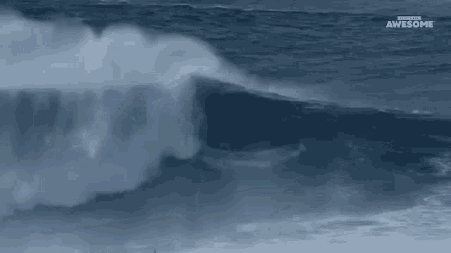Surfing People Are Awesome GIF