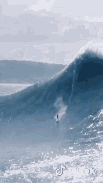 Surfing Surfer GIF