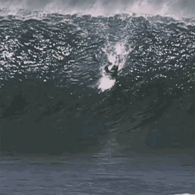 Surfista Caindo Flamboiar GIF