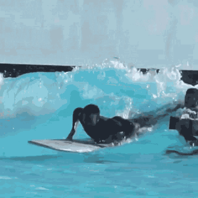 Surfista Caindo Paulo Andre GIF