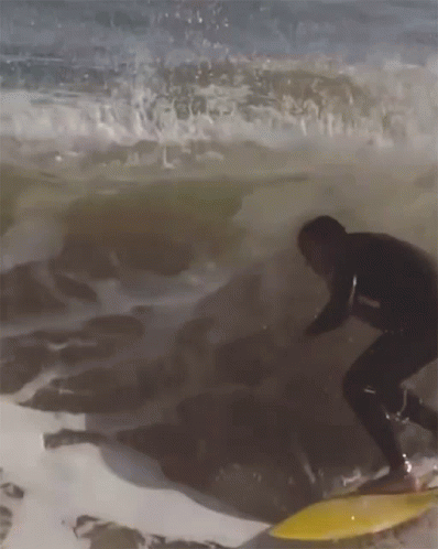 Surfista Dentro Da Onda Flamboiar GIF