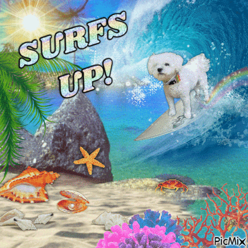 Surfs Up Surfing GIF