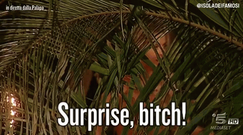 Surprise Bitch Isola Dei Famosi GIF. This 498 x 278 animated GIF is part of our surprise bitch collection. Related themes include me, surprise. Created by…