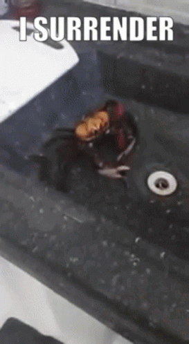 Surrender Surrendered GIF