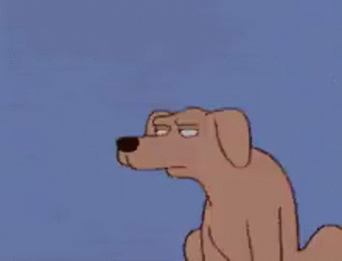 Suspicious Dog GIF