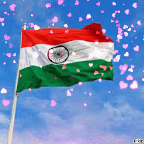 Suveer Indian Flag GIF