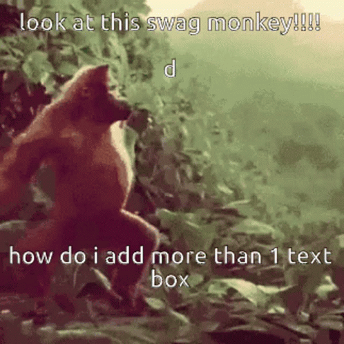 Swag Monkey GIF