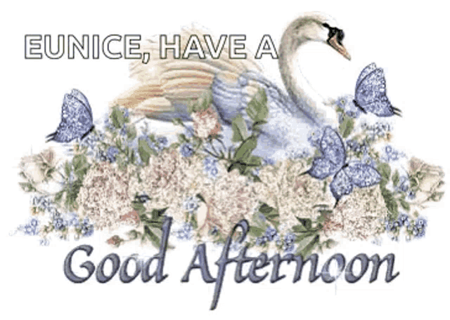 Swan Good Afternoon GIF