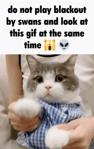 Swans Sync GIF. This 315 x 498 animated GIF is part of our hitze lustige bilder collection. Related themes include funny cat. Created by kkeeaaton. View the…