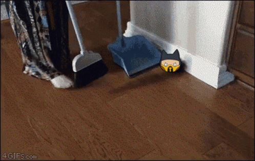 Sweep Kittens GIF