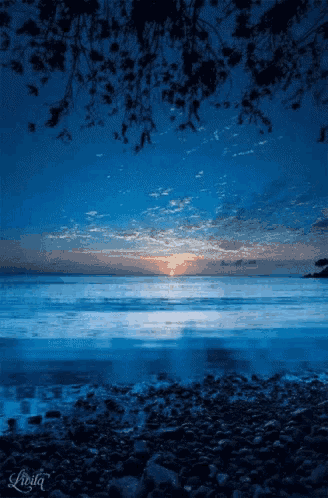 Sweet Dreams Calm GIF