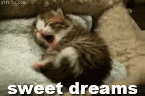 Sweet Dreams Cat GIF. This 498 x 331 animated GIF is part of our geburtstag katzen collection. Related themes include bedtime, cat, cute. Created by…