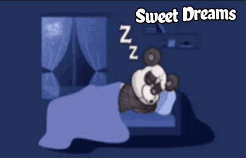 Sweet Dreams Goodnight Panda GIF