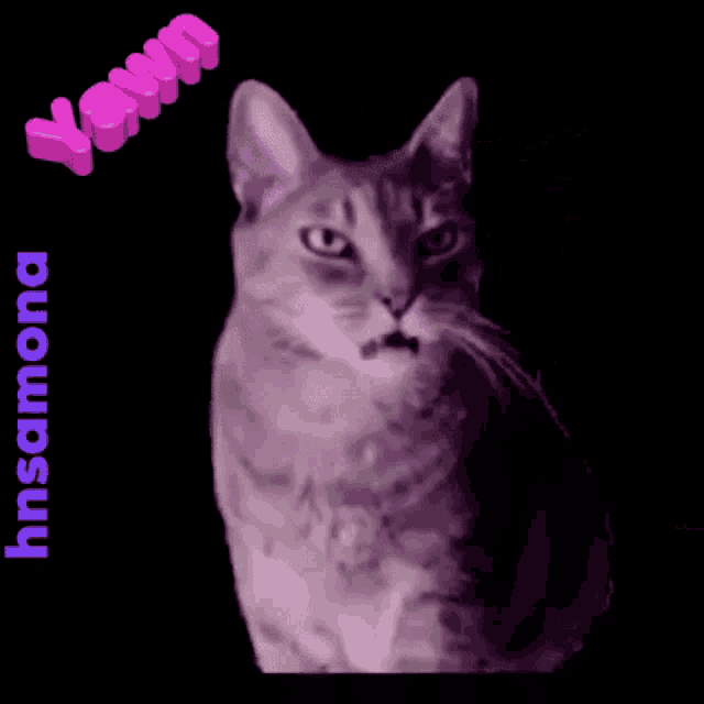 Sweet Dreams GIF