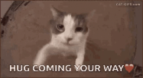 Sweet Dreams GIF