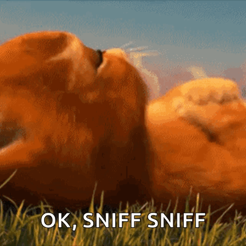 Sweet Miss You GIF