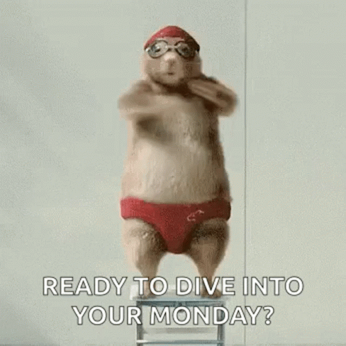 Swim Cute GIF. This 498 x 498 animated GIF is part of our lustige montags collection. Related themes include cute, dance, funny animals. Created by…