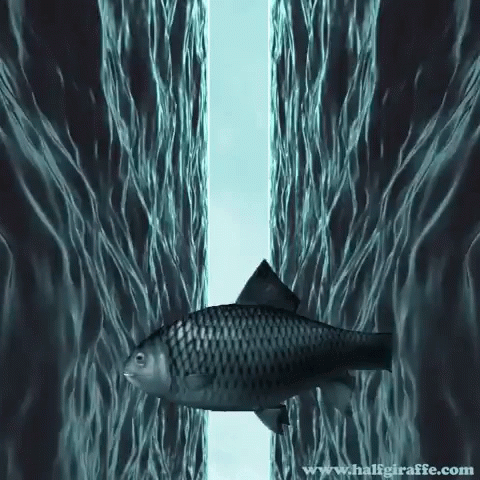Swimming Digital Art GIF